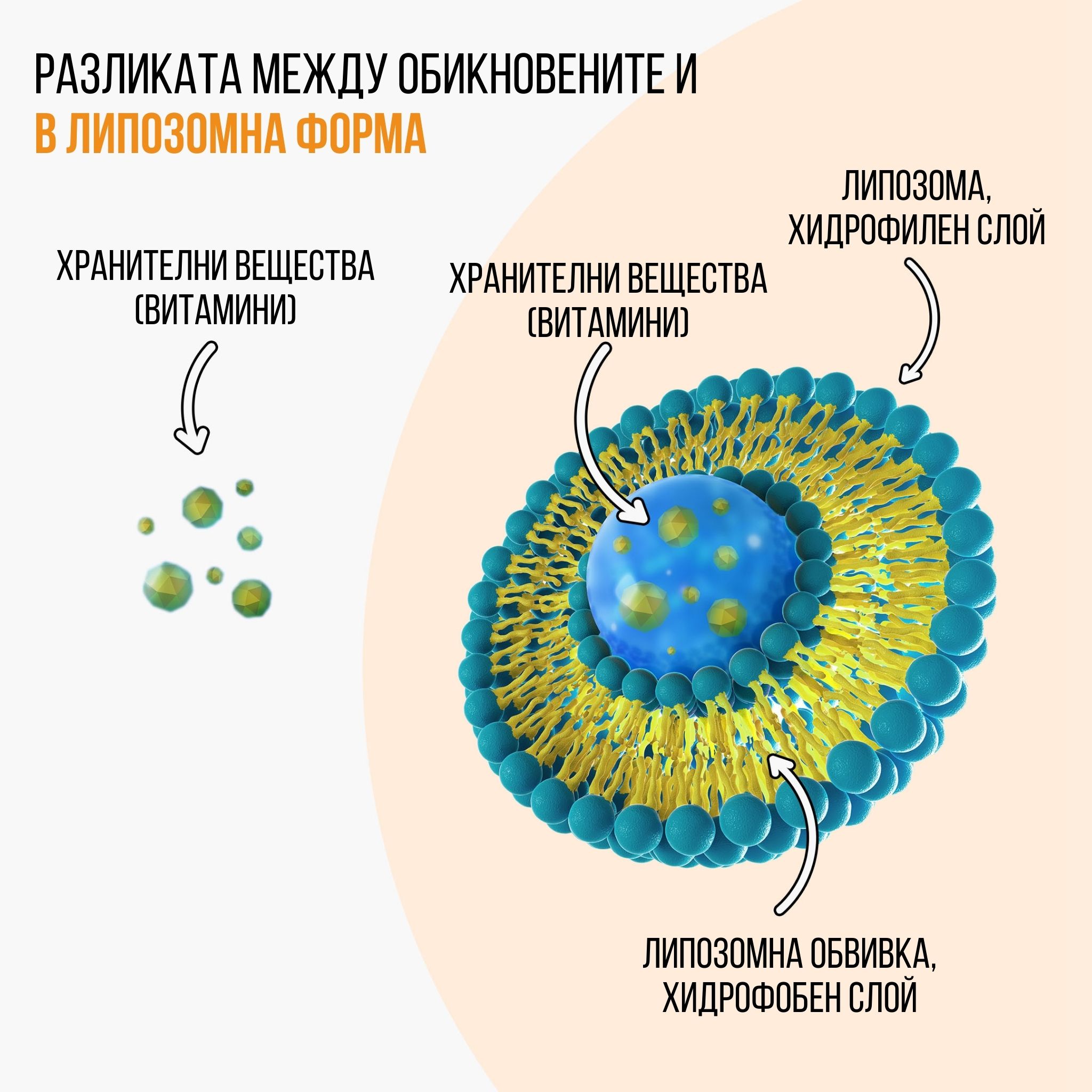 (Bulharština) lipo vs bezna forma
